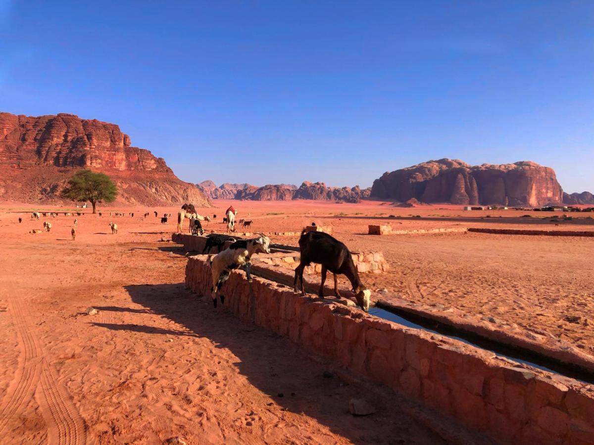Milky Way Bedouin Camp Villa Wadi Rum Luaran gambar